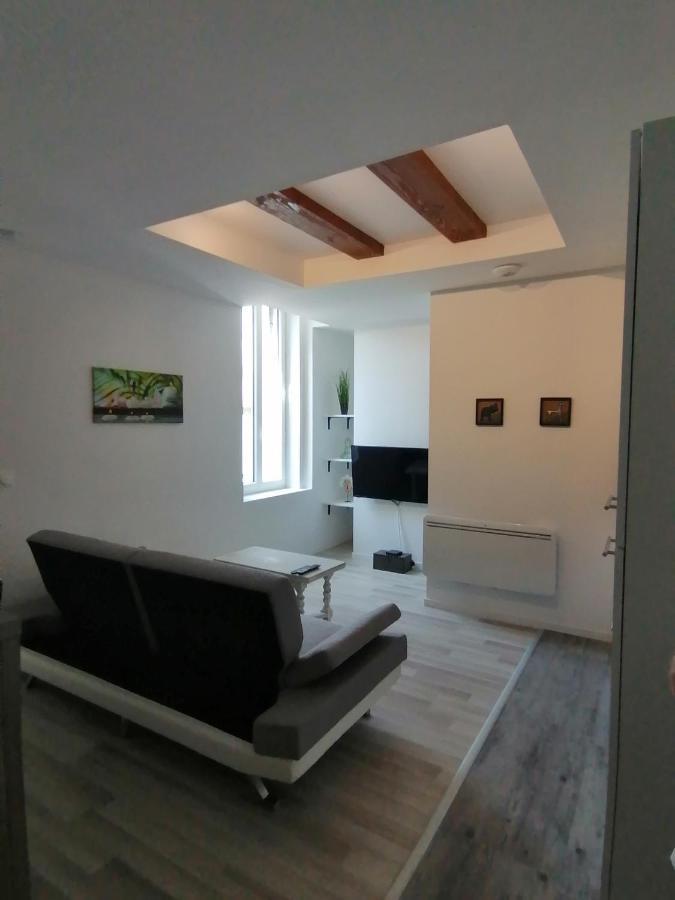 Jungle Zen Beau T2 Avec Jardin Gare 100M Lejlighed Tonneins Eksteriør billede